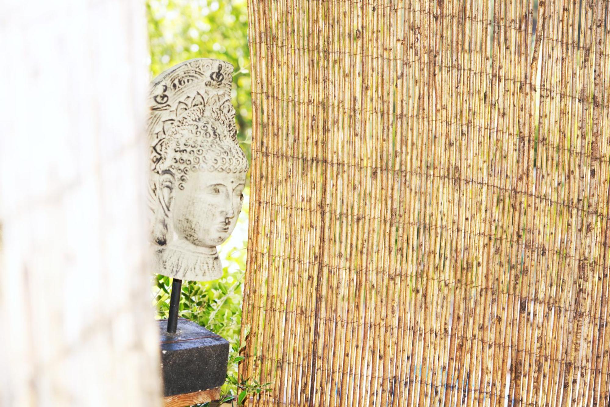 Villa Ramiro Celorico De Basto Ngoại thất bức ảnh